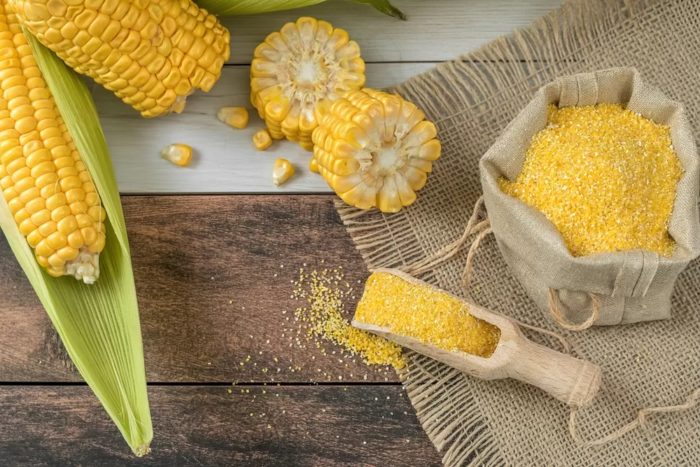 Yellow Corn